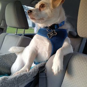 Meet your Posher, Susan